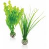 biOrb Plastová rastlina - Plant Pack Set zelená 20 cm