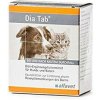 Pharmacopola Dia Tab žuvacie tbl. 6 x 5,5 g