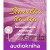 Šlabikár šťastia 2 - Sebaspoznanie, súvislosti, sebaprijatie - Pavel Hirax Baričák