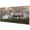 Sklenený obraz Unicorn mraky 100x50 cm