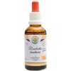 Salvia Paradise Rosolovka řasotvará AF tinktura 50 ml