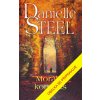 Morální kompas - Danielle Steel