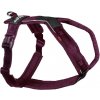 Postroj LINE 5.0 Non-stop Dogwear fialový - 1