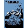 Batman The Long Halloween Deluxe Edition - Jeph Loeb, Tim Sale, DC Comics