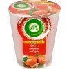 Air wick Warm cinnamon and apple vonná sviečka essential oils -220 g