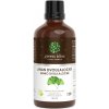 Green idea Ginkgo tinktúra – kvapky 50 ml –