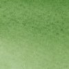 Winsor & Newton watercolor promarker 311 hooker´s green