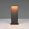 Trio Lighting LED lampa s päticou Ravi, antracitová, výška 50 cm, kov, IP65 - 538660142