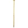 DOMAX Konštrukčný vrut CT s tanierovou hlavou TORX T40 8 x 260 mm pozinkovaný 50 ks