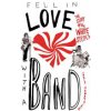 Fell in Love with a Band: The Story of the White Stripes (Handyside Chris)