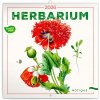 NOTIQUE Poznámkový Herbár 30 x 30 cm 2026
