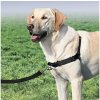 PetSafe Easy Walk Postroj proti ťahaniu čierne (L)