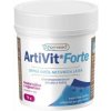 VITAR Veterinae ArtiVit Forte prášek 70g