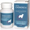 Univit Roboran Chondro 6, 60 tbl.