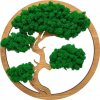 Machový obraz Bonsai 40cm Dark Green