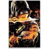 Maľovanie podľa čísel - Mortal kombat - 80x120 cm, plátno vypnuté na rám - výroba CZ