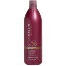 Šampón Inebrya Color Perfect Shampoo pre zdokonalenie farby 1000 ml