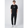 Champion Men’s Slim Fit Fleece Pants with Cuffs and Brushed Interior Icons Black