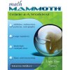 Math Mammoth Grade 4-A Worktext