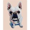 Maľovanie podľa čísel – Biely buldog s modrým obojkom, 80 × 100 cm, plátno napnuté na ráme 8596530012276