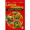 Léčivé rostliny třetího tisícíletí - Pavel Valíček, Ladislav Kokoška, Kamila Holubová