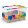 KIS C Box Colours Arty XL, 50l