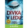 E-kniha Dívka v ledu - Robert Bryndza
