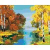 zuty Maľovanie podľa čísel - Les s brezami pri rieke, 40x50 cm, vypnuté plátno na rám (8596530055617)