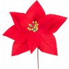 Kvet MagicHome Vianoce, Poinssetia, červená, 21 cm, veľkosť kvetu: 16,5 cm