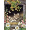 COBBLE HILL Puzzle Sestry 500 dielikov