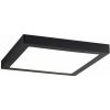 Stropné svetlo Paulmann 70985 - LED/22W Stropné svietidlo ABIA 230V (103601)