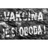 Vakcína je sloboda ! - ceduľa 30cm x 20cm Plechová tabuľa