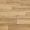 Arbiton Woodric Dryback DW 210 Dub Cavillon 3,474 m²