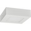 GREENLUX svietidlo prisadené LED30 FENIX-S White 6W WW GXDW131