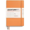 Leuchtturm1917 Zápisník Apricot Softcover A5 čistý
