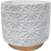 MagicHome Citronella 110x100 mm