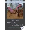 Trauma Healing at the Clay Field: A Sensorimotor Art Therapy Approach (Deuser Heinz)