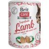 Brit Care snack pre mačky Superfruits jahňací 100g