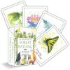 An Invitation to Forest Bathing