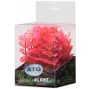 ATG Premium rostlina mini 8-14 cm 208