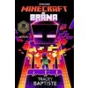 Minecraft Brána - Tracey Baptiste