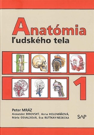 Anatómia ľudského tela 1