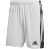 Šortky Adidas Tastigo 19 Shorts M DP3247 - S