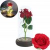 Livoyn Umelá večná ruža v skle s LED svetlom, Ruža v skle, Umelé kvety s LED svetlom v sklenenej kupole, Večná ruža