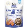 Brit Care Cat Raw Treat Kitten Chicken & Salmon 40 g