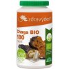 Zdravý den Chaga BIO 180 kapslí