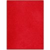 AladinWorld Expres , Kusový koberec Monarch red, 300x400, červená, chodba / predsieň