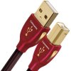 Audioquest Cinnamon USB 2.0 A/B - 3m