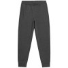 Outhorn M HOL22 SPMD600 23M pants (96822) Black S