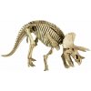 Dinosauria vykopávka Spiegelburg - Tyranosaurus Rex uni
